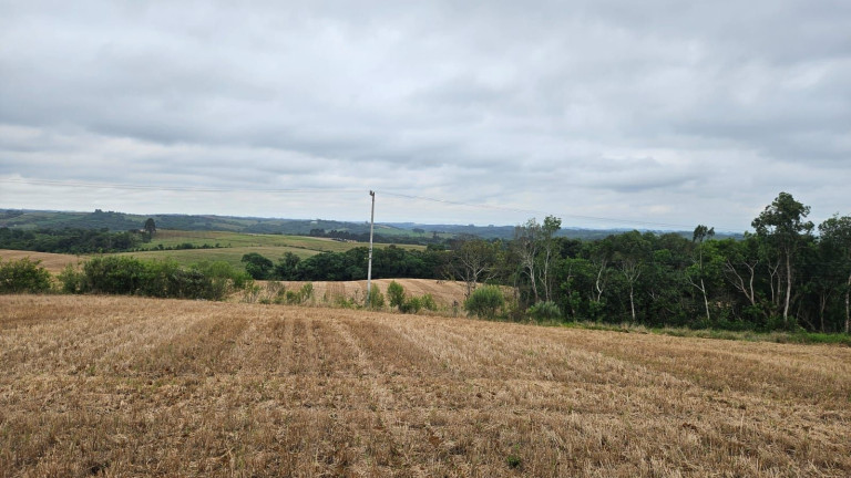 Imagem Fazenda à Venda, em Zona Rural - Araucaria Imagem Fazenda à Venda, em Zona Rural - Araucaria
