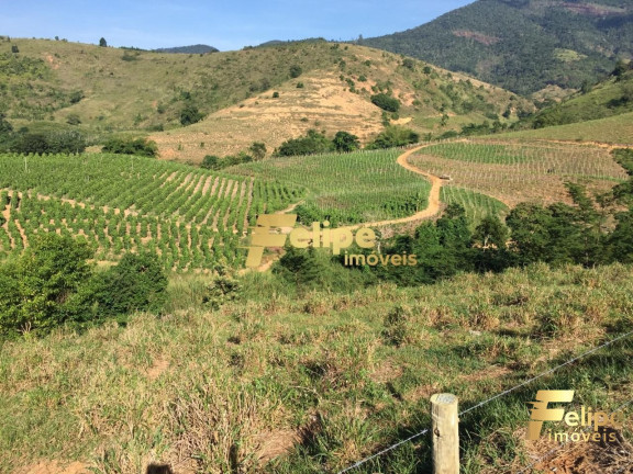 Imagem Imóvel com 1 Quarto à Venda, 55 m² em área Rural De Colatina - Colatina