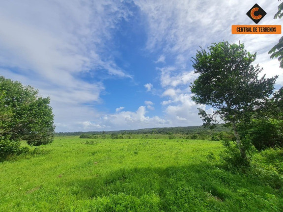 Imóvel com 2 Quartos à Venda, 975.787 m² em Barra De Pojuca - Camaçari