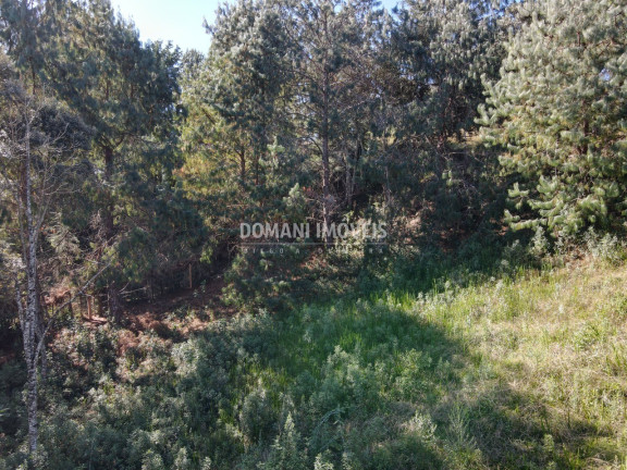 Imagem Terreno à Venda, 1.215 m² em Região Do Alto Da Boa Vista - Campos Do Jordão Imagem Terreno à Venda, 1.215 m² em Região Do Alto Da Boa Vista - Campos Do Jordão