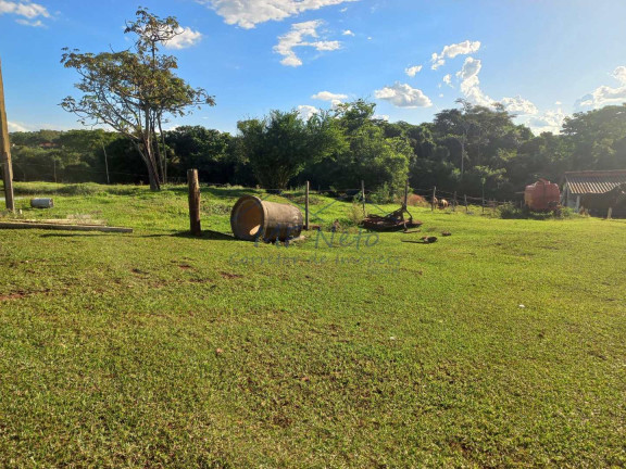 Imagem Fazenda à Venda, 65.340 m² em Bonfim - Pirassununga