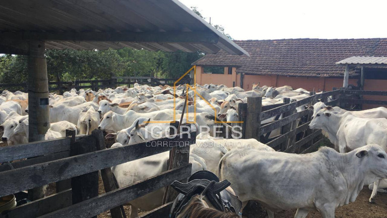 Imagem Fazenda à Venda, 244 m² em Araruama Imagem Fazenda à Venda, 244 m² em Araruama