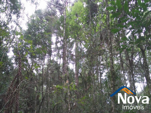 Imagem Imóvel à Venda,  em Linha Imperial - Nova Petrópolis