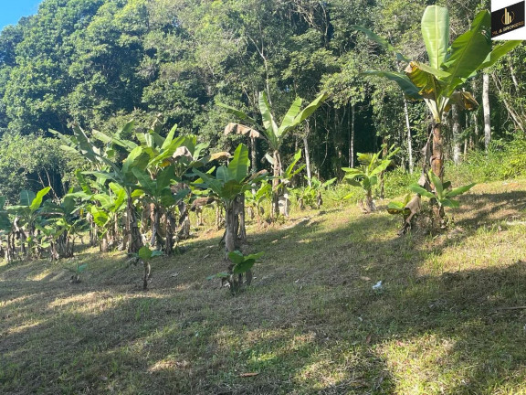 Imagem Imóvel à Venda, 20.000 m² em Zona Rural - Morretes Imagem Imóvel à Venda, 20.000 m² em Zona Rural - Morretes
