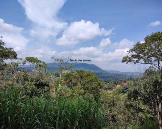 Imagem Chácara com 3 Quartos à Venda, 8.000 m² em Terra Preta (terra Preta) - Mairiporã
