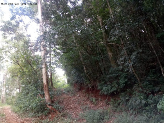 Imagem Terreno à Venda, 8 m² em Germânia - Nova Petrópolis