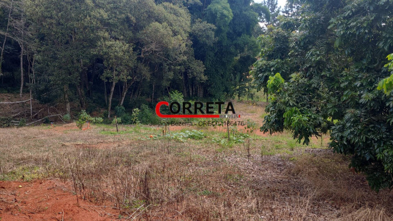 Imagem Casa com 3 Quartos à Venda, 48.000 m² em Morro Grande - Ibiúna Imagem Casa com 3 Quartos à Venda, 48.000 m² em Morro Grande - Ibiúna