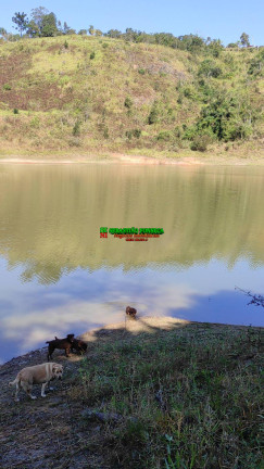 Imagem Chácara com 3 Quartos à Venda, 6.700 m² em São Damião - Paraibuna Imagem Chácara com 3 Quartos à Venda, 6.700 m² em São Damião - Paraibuna