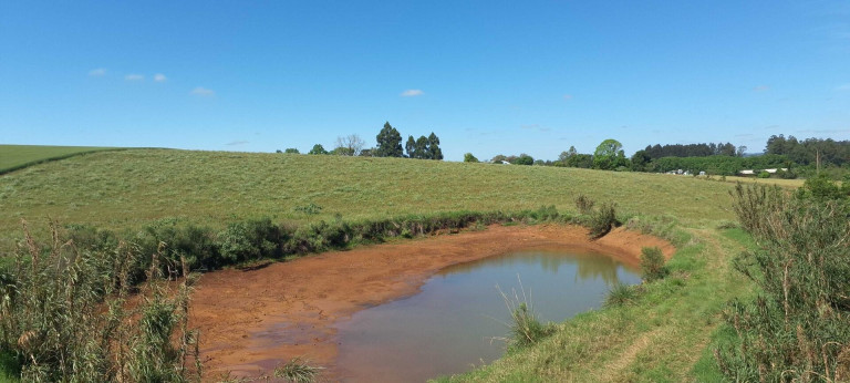 Imagem Imóvel à Venda, 70.000 m² em Centro - Selbach