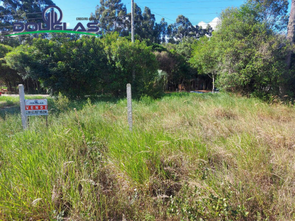 Imagem Terreno à Venda, 1.000 m² em Viamão Imagem Terreno à Venda, 1.000 m² em Viamão
