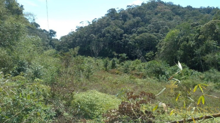 Imagem Imóvel com 1 Quarto à Venda, 20.000 m² em Marechal Floriano - Marechal Floriano