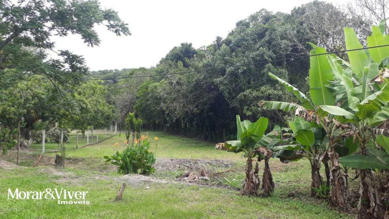 Imagem Imóvel com 3 Quartos à Venda, 84.750 m² em Alexandra - Paranaguá