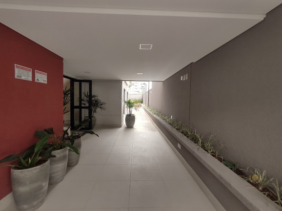 Imagem Apartamento com 2 Quartos à Venda, 59 m² em Santa Teresinha - São Paulo Imagem Apartamento com 2 Quartos à Venda, 59 m² em Santa Teresinha - São Paulo