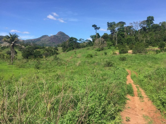 Imagem Imóvel com 2 Quartos à Venda, 113 m² em área Rural De Colatina - Colatina