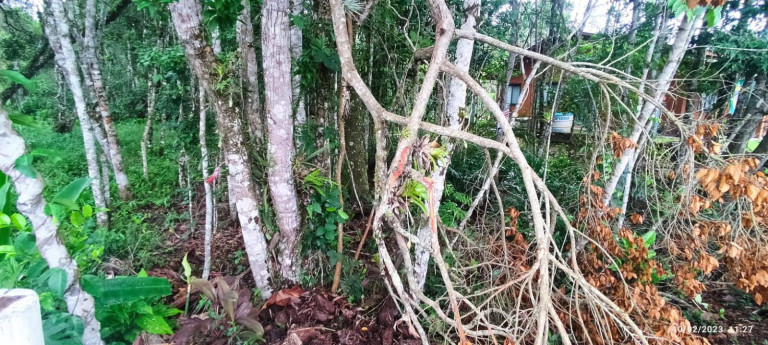 Imagem Terreno à Venda, 325 m² em Mariscal - Bombinhas Imagem Terreno à Venda, 325 m² em Mariscal - Bombinhas
