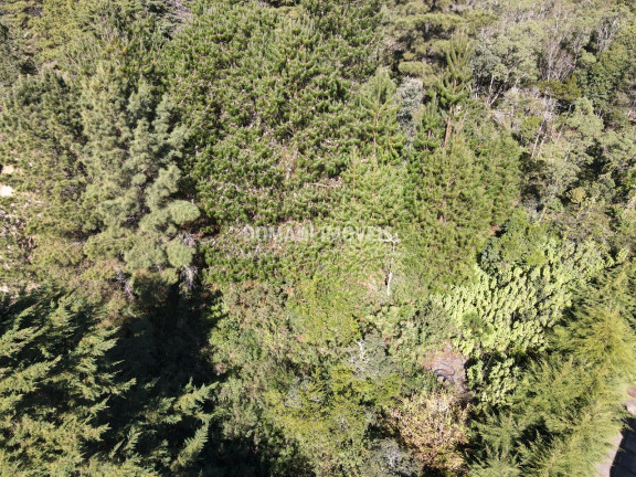 Imagem Terreno à Venda, 1.090 m² em Região Do Alto Do Capivari - Campos Do Jordão Imagem Terreno à Venda, 1.090 m² em Região Do Alto Do Capivari - Campos Do Jordão