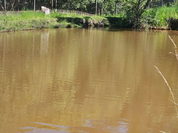 Imagem Chácara com 3 Quartos à Venda, 2 m² em Arapongas Imagem Chácara com 3 Quartos à Venda, 2 m² em Arapongas