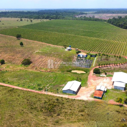 Imagem Imóvel com 3 Quartos à Venda, 9.600.000 m² em Centro  - Tomé-açú