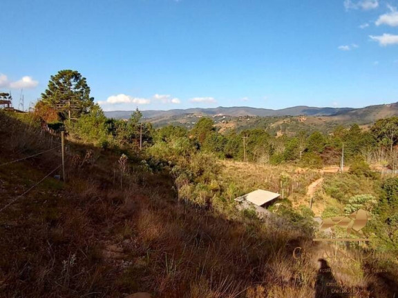 Imagem Terreno à Venda, 3.200 m² em Descansópolis - Campos Do Jordão Imagem Terreno à Venda, 3.200 m² em Descansópolis - Campos Do Jordão