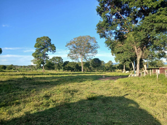 Imagem Chácara à Venda, 35 m² em Arapongas