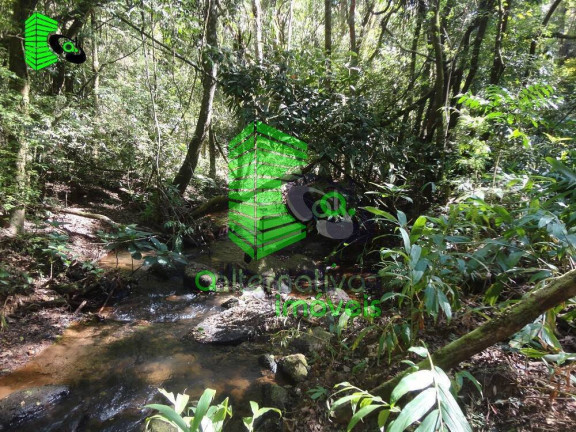 Imagem Fazenda à Venda, 31 m² em Pinhalzinho - Sto Antônio Do Pinhal - Santo Antônio Do Pinhal Imagem Fazenda à Venda, 31 m² em Pinhalzinho - Sto Antônio Do Pinhal - Santo Antônio Do Pinhal