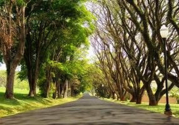 Terreno em Condomínio à Venda, 800 m² em Condomínio Fazenda Serrazul - Itupeva