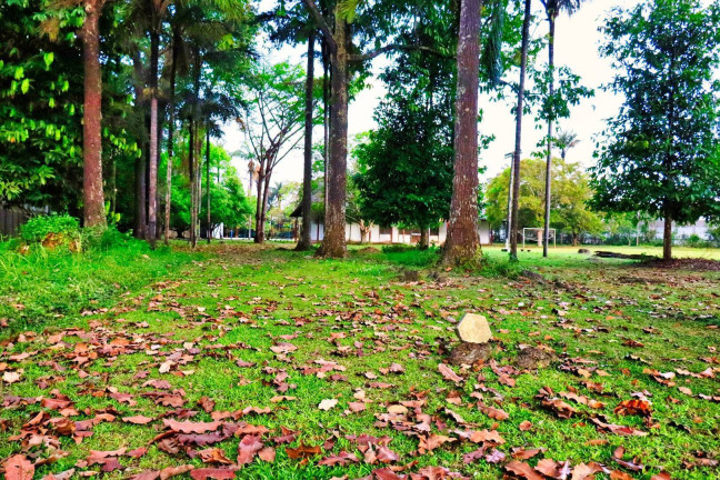 Imagem Terreno à Venda, 48 m² em Flores - Manaus Imagem Terreno à Venda, 48 m² em Flores - Manaus