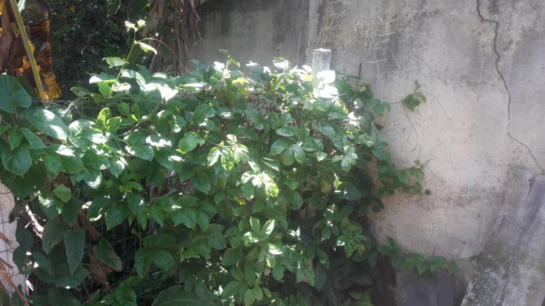 Imagem Imóvel com 2 Quartos à Venda, 80 m² em Campo Grande - Rio De Janeiro