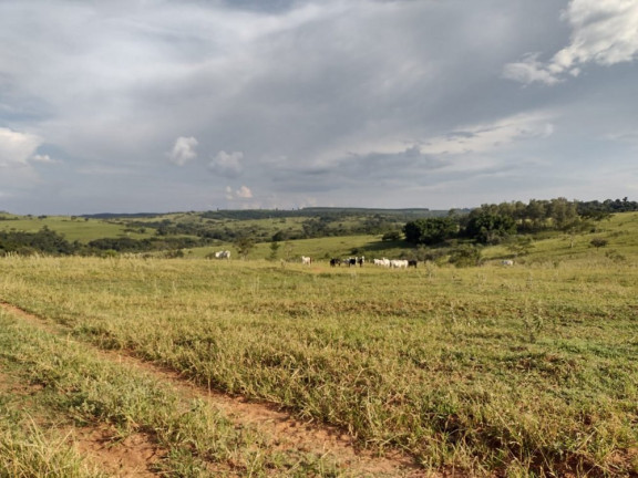 Imagem Imóvel à Venda, 10 m² em área Rural De Avaí - Avaí Imagem Imóvel à Venda, 10 m² em área Rural De Avaí - Avaí