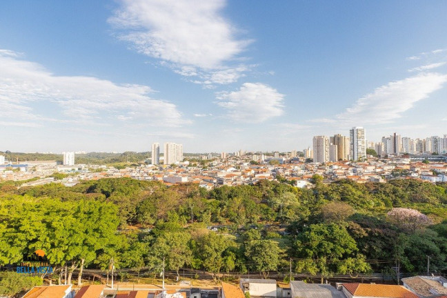 Imagem Apartamento com 3 Quartos à Venda,  em Vila Monte Alegre - São Paulo