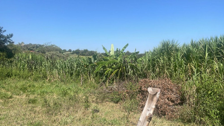 Imagem Imóvel com 3 Quartos à Venda, 200 m² em Rio Verde - Bauru