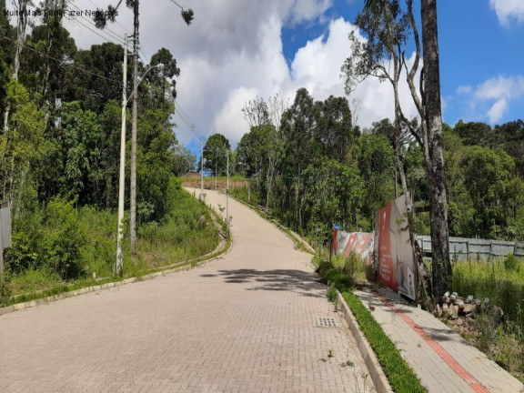 Imagem Terreno à Venda, 364 m² em Linha Imperial - Nova Petrópolis