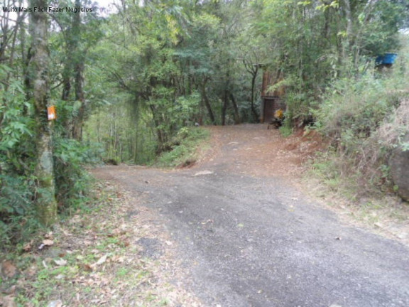 Imagem Terreno à Venda, 3 m² em São José Do Caí - Nova Petrópolis Imagem Terreno à Venda, 3 m² em São José Do Caí - Nova Petrópolis