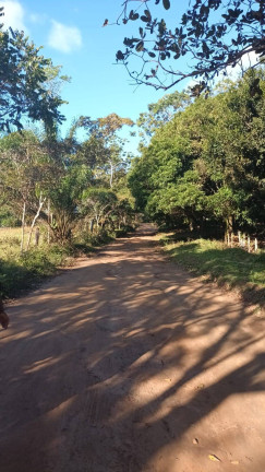 Chácara à Venda, 2 m² em Tibina - Uruçuca