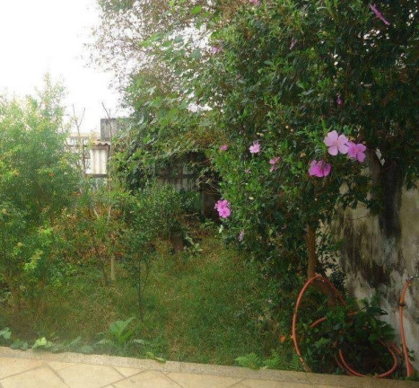 Imagem Casa com 3 Quartos à Venda, 218 m² em Vila Mangalot - São Paulo Imagem Casa com 3 Quartos à Venda, 218 m² em Vila Mangalot - São Paulo