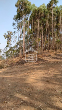 Imagem Imóvel à Venda, 24 m² em Pocinhos Do Rio Verde (rural) - Caldas Imagem Imóvel à Venda, 24 m² em Pocinhos Do Rio Verde (rural) - Caldas