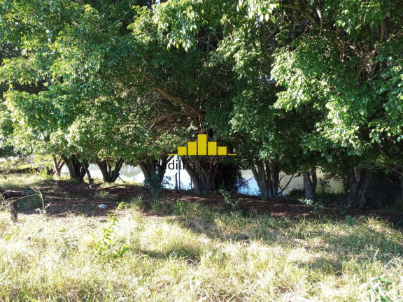Imagem Chácara à Venda, 3 m² em Centro - Capela Do Alto Imagem Chácara à Venda, 3 m² em Centro - Capela Do Alto