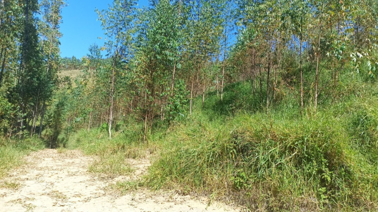 Imagem Chácara com 1 Quarto à Venda, 200 m² em Mirandão - Paraibuna Imagem Chácara com 1 Quarto à Venda, 200 m² em Mirandão - Paraibuna
