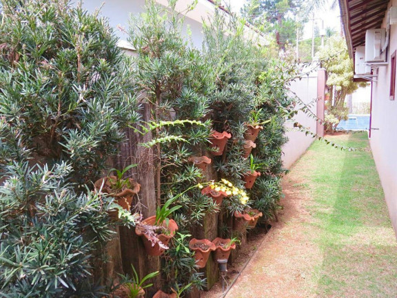 Imagem Casa com 3 Quartos à Venda, 800 m² em Usina - Atibaia