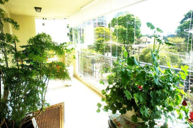 Imagem Apartamento com 4 Quartos à Venda, 300 m² em Higienópolis - São Paulo Imagem Apartamento com 4 Quartos à Venda, 300 m² em Higienópolis - São Paulo