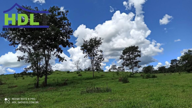 Imagem Fazenda à Venda, 21 m² em Zona Rural - Hidrolândia