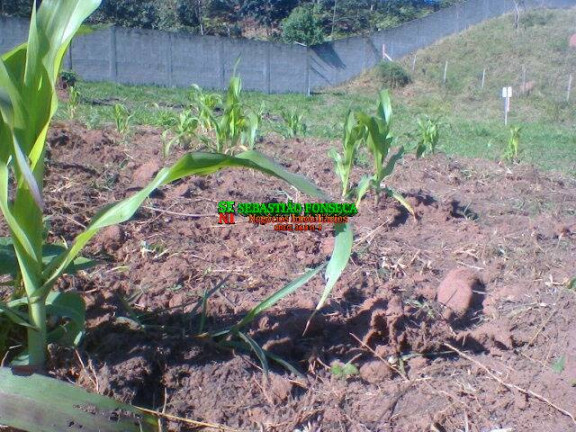 Imagem Terreno à Venda, 500 m² em Santa Cecília 2 - São José Dos Campos Imagem Terreno à Venda, 500 m² em Santa Cecília 2 - São José Dos Campos