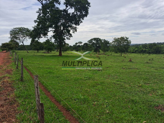 Imagem Fazenda à Venda, 117 m² em União De Minas Imagem Fazenda à Venda, 117 m² em União De Minas