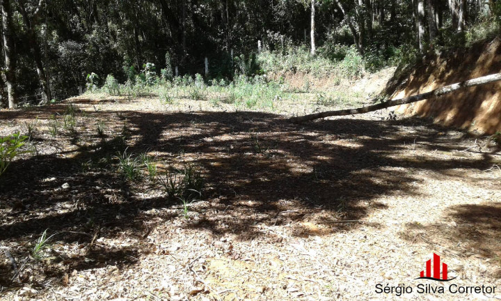 Imagem Terreno à Venda, 1 m² em Alto Do Capivari - Campos Do Jordão Imagem Terreno à Venda, 1 m² em Alto Do Capivari - Campos Do Jordão