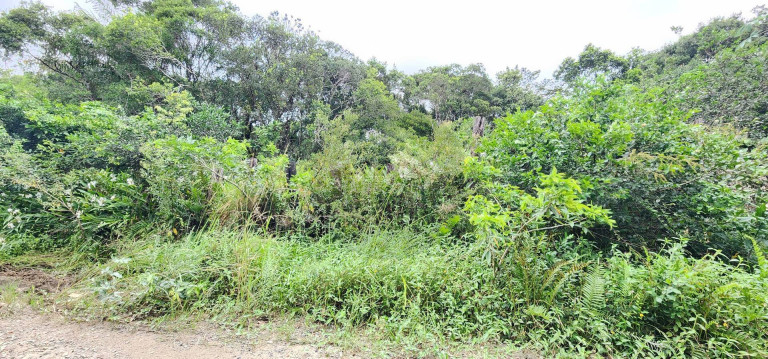 Imagem Terreno à Venda, 7.000 m² em Chácaras Lúcel - Itanhaém Imagem Terreno à Venda, 7.000 m² em Chácaras Lúcel - Itanhaém