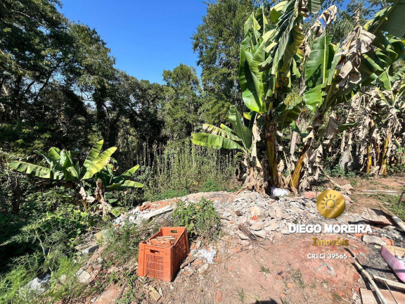 Imagem Terreno à Venda, 1.532 m² em Terra Preta - Mairiporã