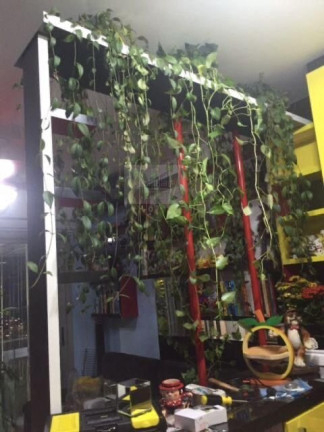 Imagem Apartamento com 1 Quarto à Venda, 33 m² em Santo Amaro - São Paulo