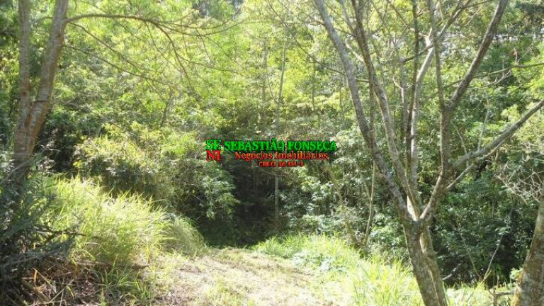 Imagem Chácara à Venda, 72.600 m² em São Francisco Xavier - São José Dos Campos