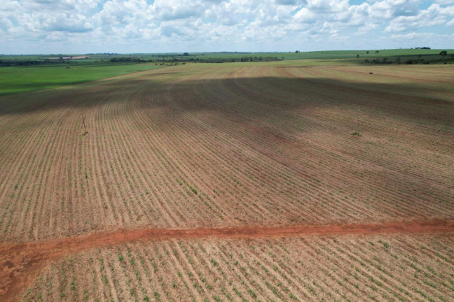 Imagem Chácara à Venda, 13 m² em Zona Rural - Morro Agudo Imagem Chácara à Venda, 13 m² em Zona Rural - Morro Agudo