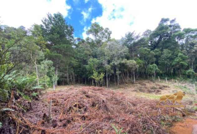Imagem Terreno à Venda, 1.490 m² em Alataia - Campos Do Jordão Imagem Terreno à Venda, 1.490 m² em Alataia - Campos Do Jordão